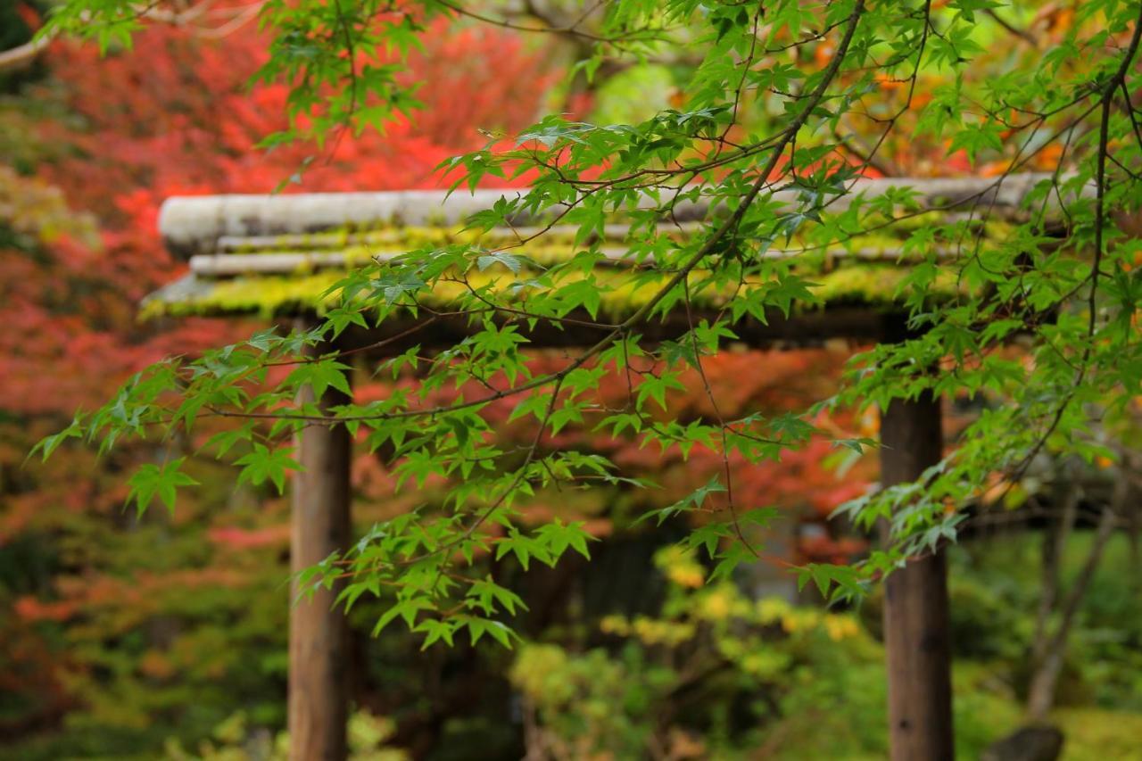 Nikko Hoshino Yado Hotel Exterior photo